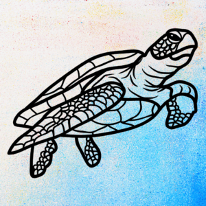 Turtle Colouring In Page